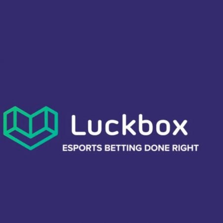 Luckbox в поисках новых талантов